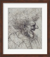 Caricature of a Man with Bushy Hair Fine Art Print