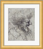 Caricature of a Man with Bushy Hair Fine Art Print