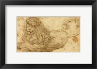 Study of a Lion Fine Art Print