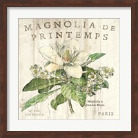 Magnolia de Printemps Fine Art Print