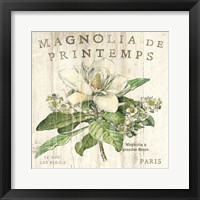 Magnolia de Printemps Framed Print