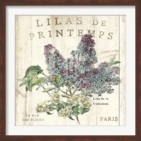 Lilas de Printemps Fine Art Print