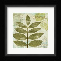 Woodland Thoughts IV Fine Art Print