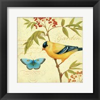 Garden Passion II Framed Print