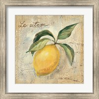 Le Citron Fine Art Print
