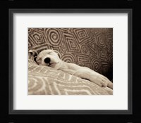 Dog Tired Fine Art Print