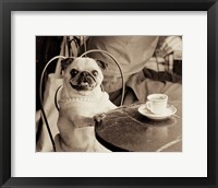 Cafe Pug Framed Print