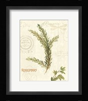 Aromatique II Framed Print