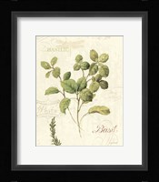 Aromatique III Framed Print