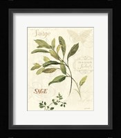 Aromatique IV Framed Print