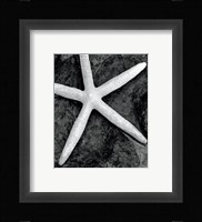 Explore Fine Art Print