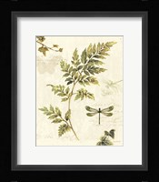Ivies and Ferns III Framed Print