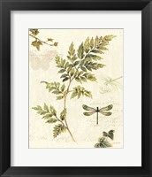 Ivies and Ferns III Framed Print