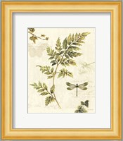 Ivies and Ferns III Fine Art Print