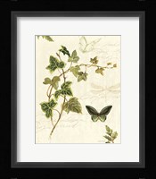 Ivies and Ferns IV Framed Print
