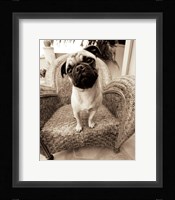 Wonder Fine Art Print