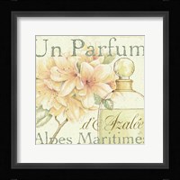 Fleurs and Parfum III Framed Print