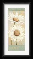 Beautiful Daisies I Framed Print
