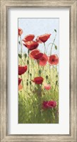 Mountain Poppies I Fine Art Print