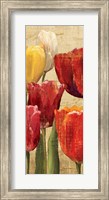Tulip Fantasy on Cream III Fine Art Print