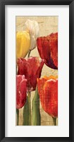 Tulip Fantasy on Cream III Fine Art Print