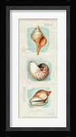 Coastal Jewels Panel II Fine Art Print