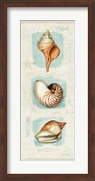 Coastal Jewels Panel II Fine Art Print