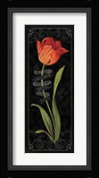 Tulipa Botanica II Fine Art Print