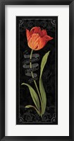 Tulipa Botanica II Fine Art Print
