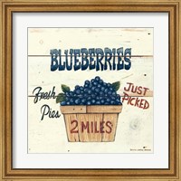 Blueberries Just Picked Fine Art Print