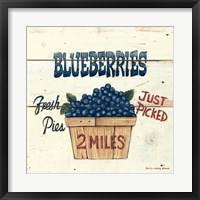 Blueberries Just Picked Fine Art Print