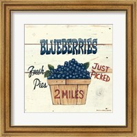 Blueberries Just Picked Fine Art Print