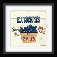 Blueberries Just Picked Fine Art Print