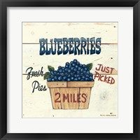 Blueberries Just Picked Framed Print