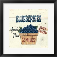 Blueberries Just Picked Framed Print