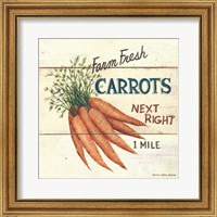 Farm Fresh Carrots Fine Art Print