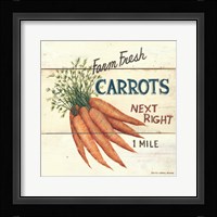 Farm Fresh Carrots Fine Art Print