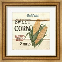 Fresh Picked Sweet Corn Fine Art Print