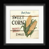 Fresh Picked Sweet Corn Fine Art Print