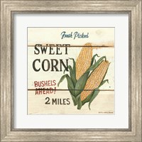 Fresh Picked Sweet Corn Fine Art Print