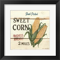 Fresh Picked Sweet Corn Framed Print