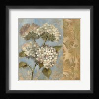 Hydrangea on Soft Blue Framed Print
