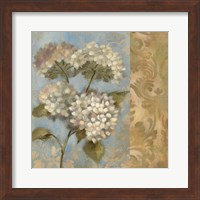 Hydrangea on Soft Blue Fine Art Print