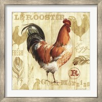 Joli Rooster I Fine Art Print