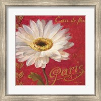 Paris Blossom I Fine Art Print