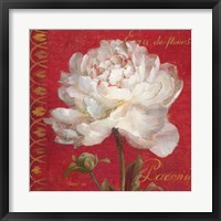 Paris Blossom IV Fine Art Print