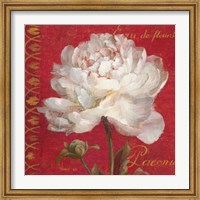 Paris Blossom IV Fine Art Print