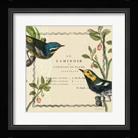 Summer Pages II Framed Print