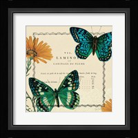 Summer Pages III Framed Print