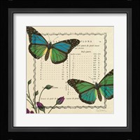 Summer Pages IV Framed Print